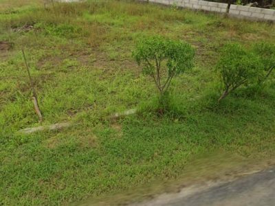 Tanah Bagus Deket Masjid Namira Lamongan